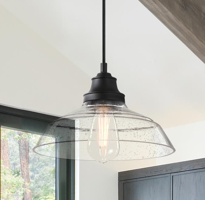 Iron Hill Indoor Pendant- Matte Black Finish with Clear Seeded Glass