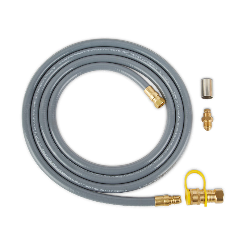 Riverside Propane Fire Bowl with Natural Gas Conversion Kit by Real Flame