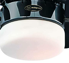 Replacement Globe for Flora Royal Ceiling Fan